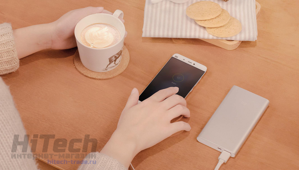Зарядное устройство внешний портативный аккумулятор Xiaomi Mi Powre Bank 2 10000 mAh купить в Хабаровске